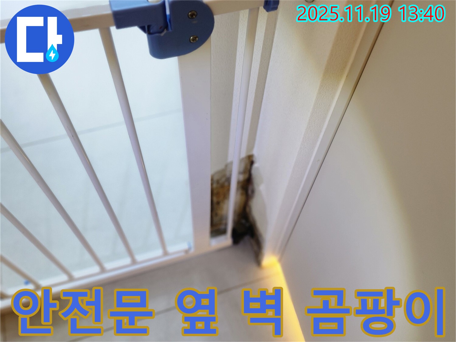 안전 문 옆 벽면의 곰팡이 - 누수로 인해 습기가 발생하여 곰팡이가 생긴 모습입니다.
