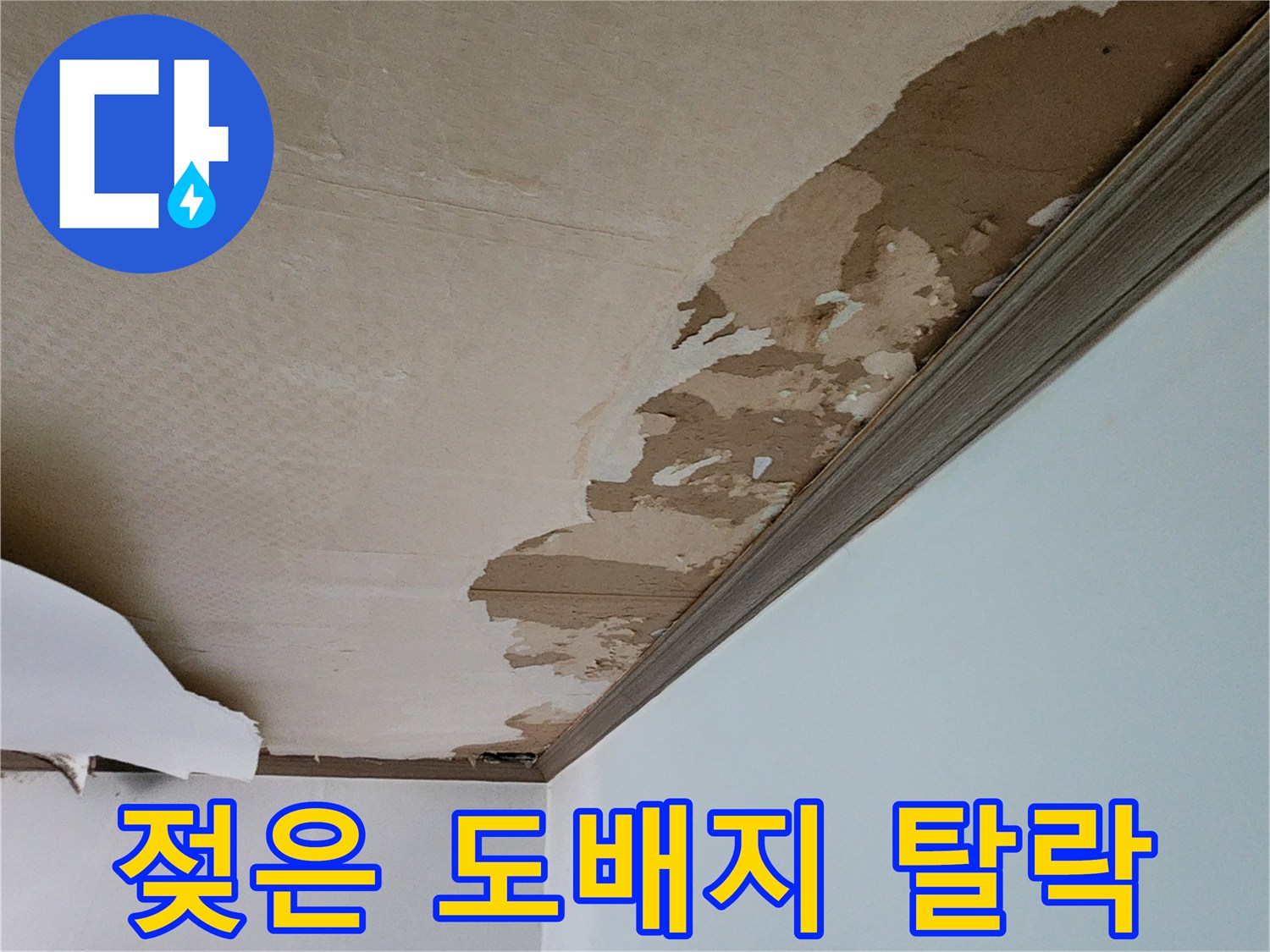 천장 구석의 젖은 벽지가 들떠서 벗겨진 모습