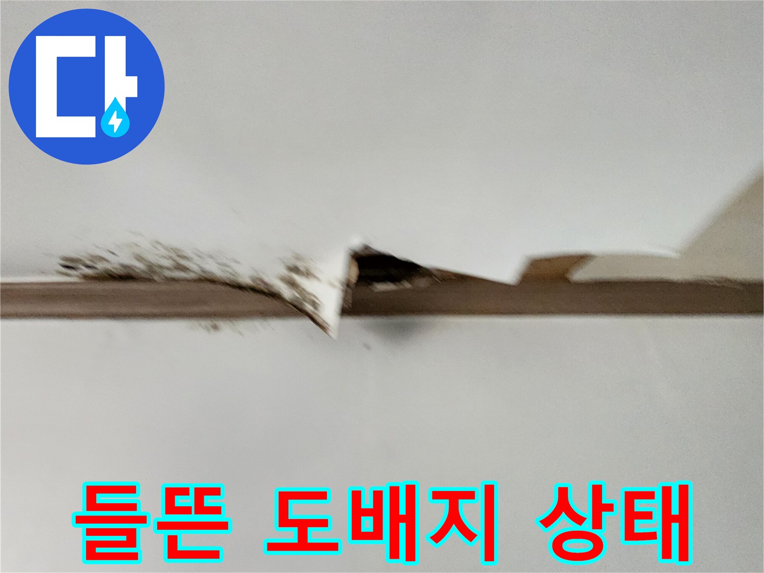 천장 벽지가 물기에 젖어 벌어진 현장 모습