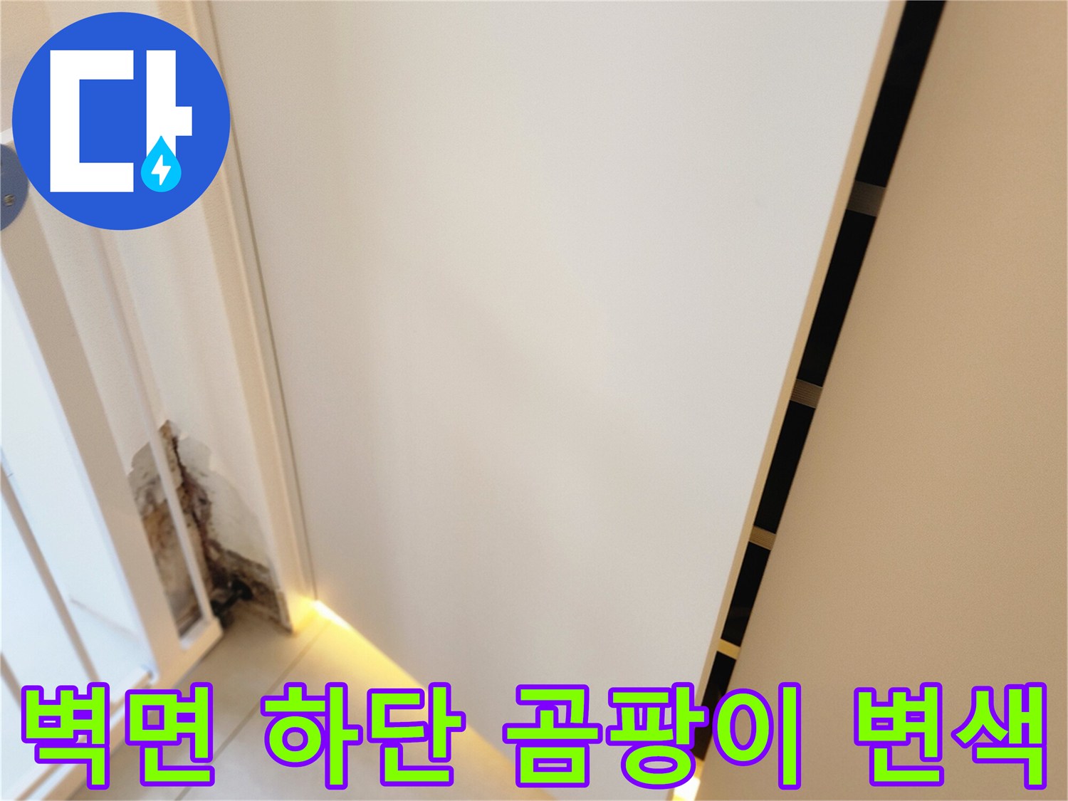 포천 내촌면 현장-물샘으로 인해 검게 변한 벽지 하단부 상세 사진