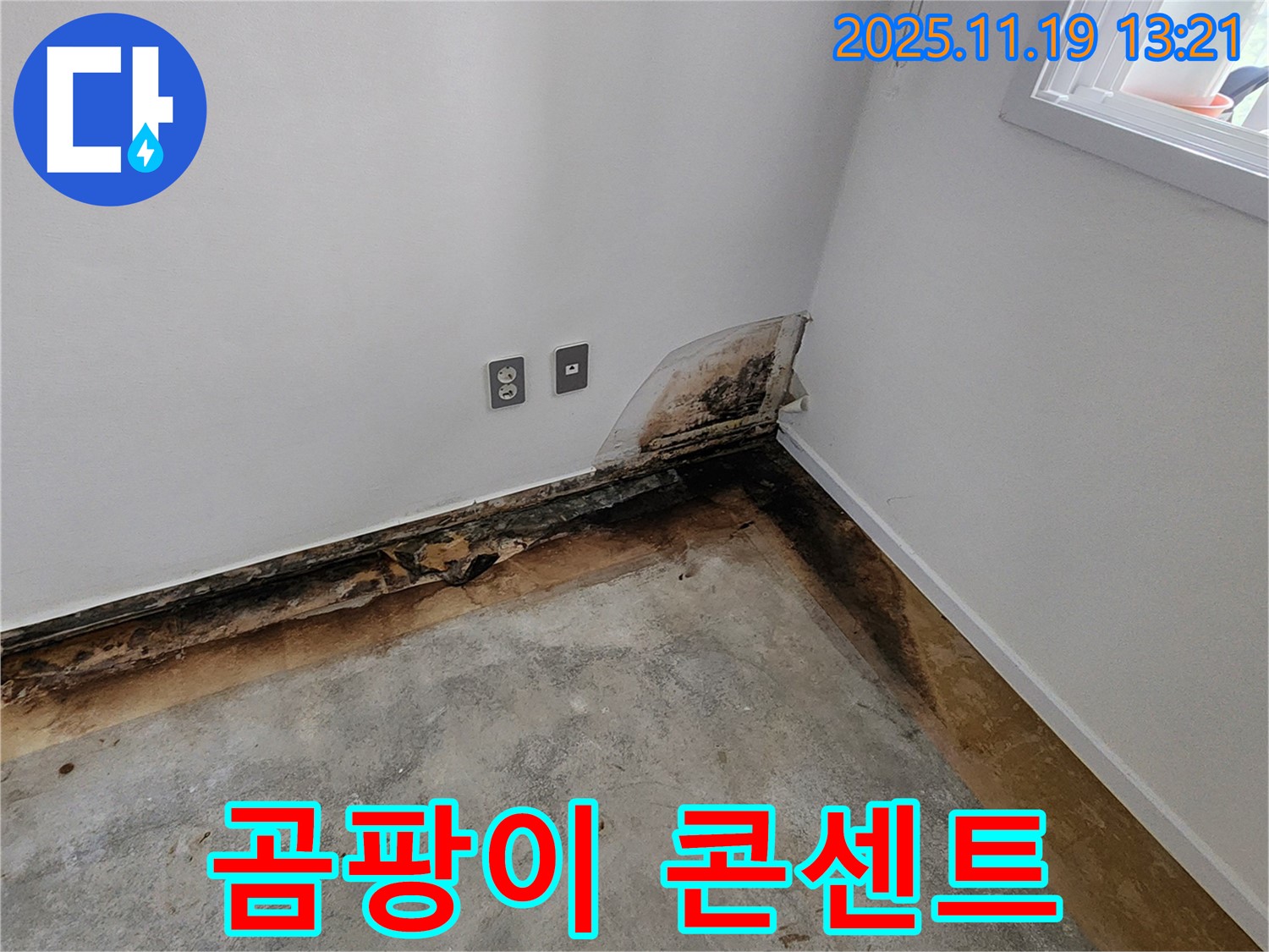 포천시 내촌면 내리 누수 - 곰팡이 콘센트 문제, 완벽한 누수 해결