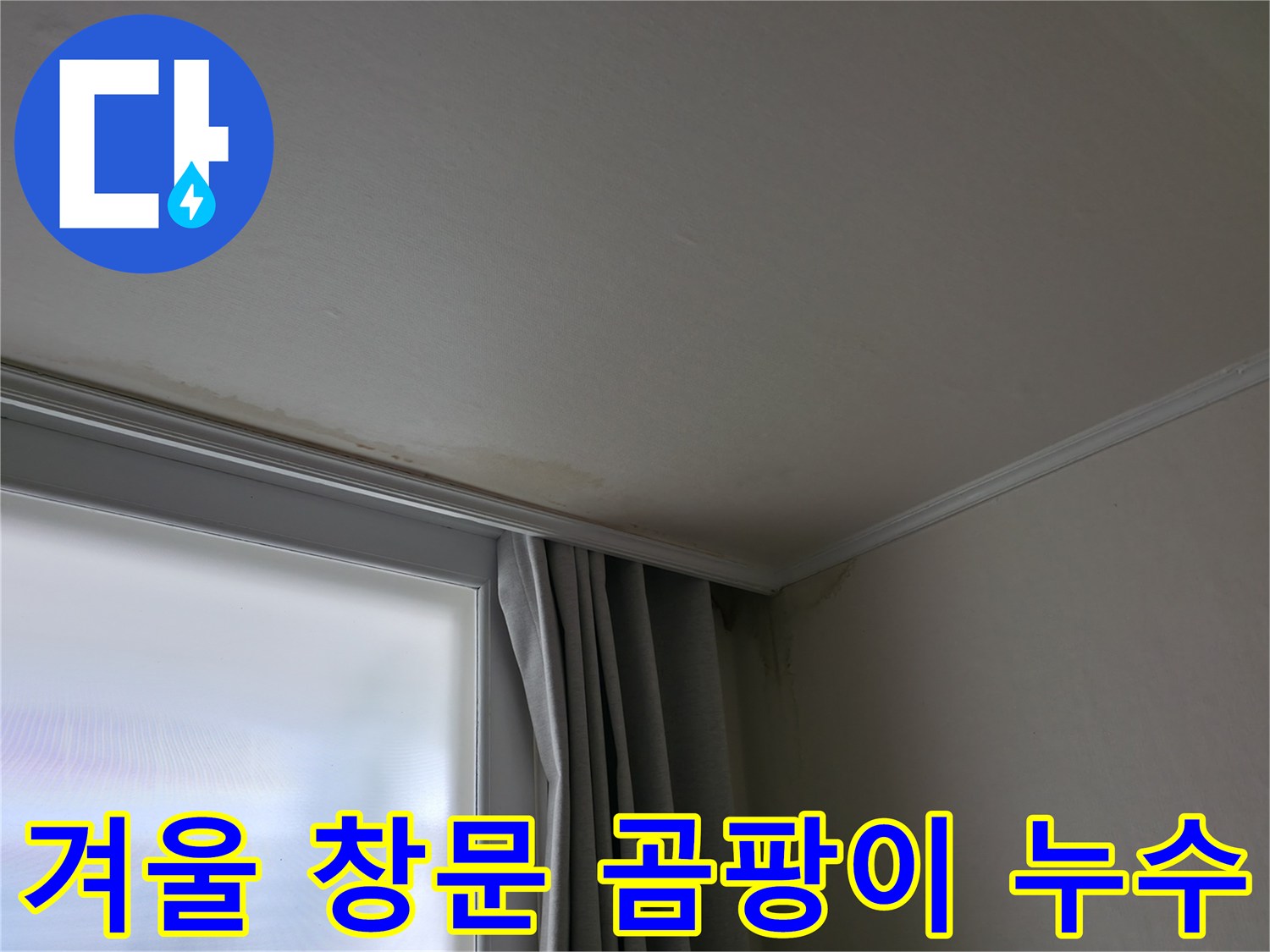 겨울철 창문 곰팡이 - 누수 문제 해결 전문가