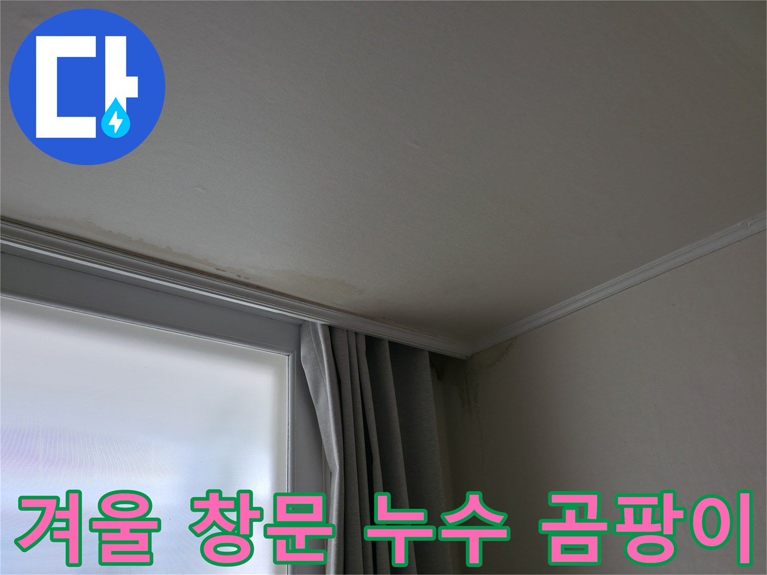 겨울철 창문 누수 - 곰팡이 문제 해결 전문