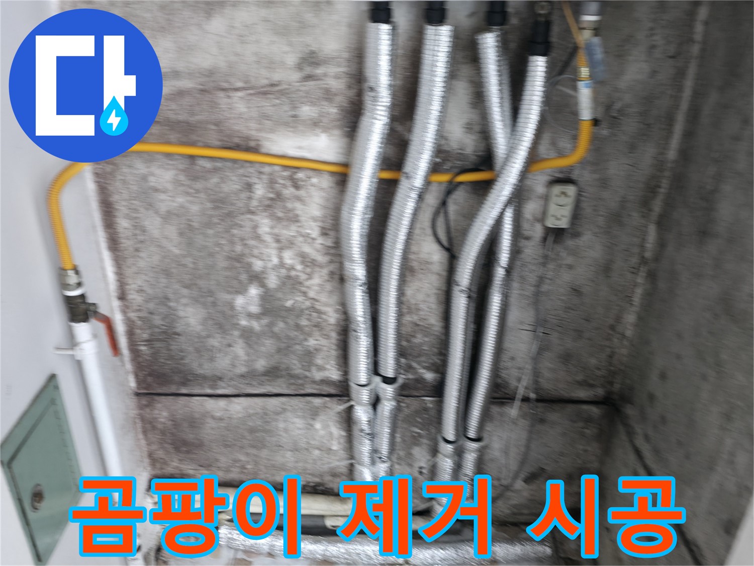 곰팡이 핀 천장 청소 - 누수 해결 후 곰팡이까지 깨끗하게!