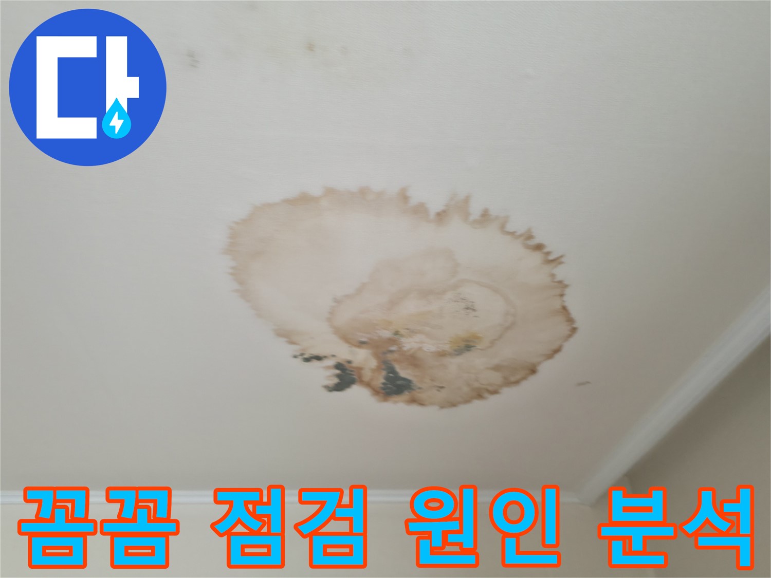 꼼꼼한 점검 - 누수 원인 분석 - 서대문구 북가좌동