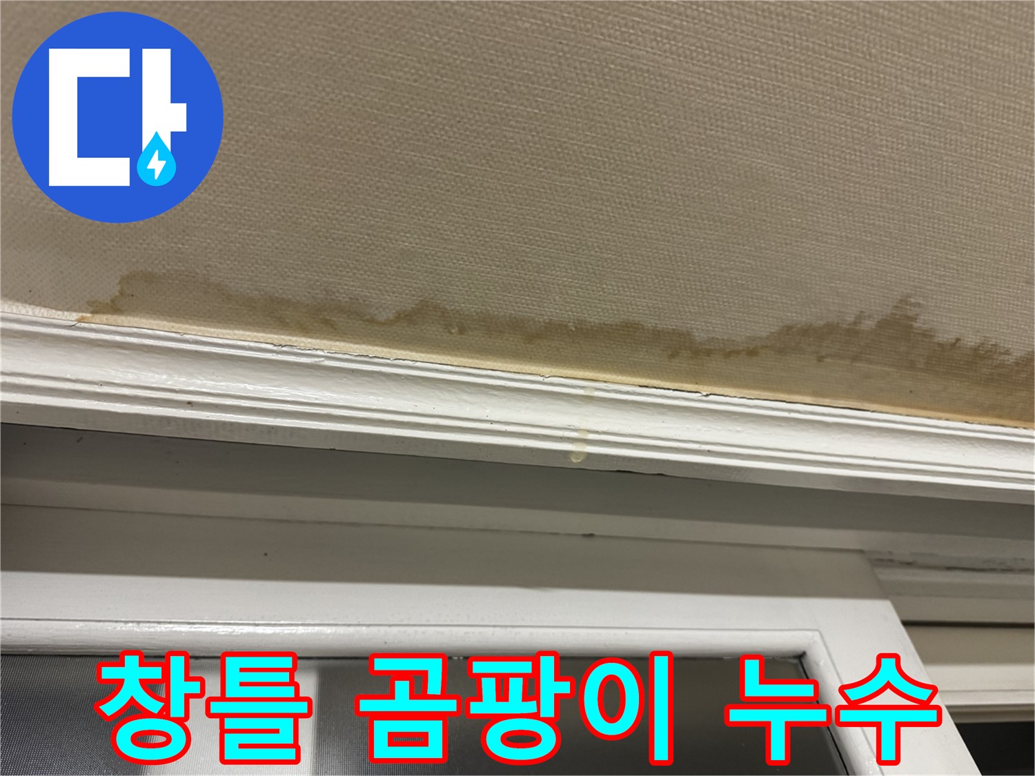벽지 변색과 곰팡이 - 창틀 누수로 인한 피해를 보여주는 사진으로, 빠른 누수 해결이 필요함을 강조합니다.
