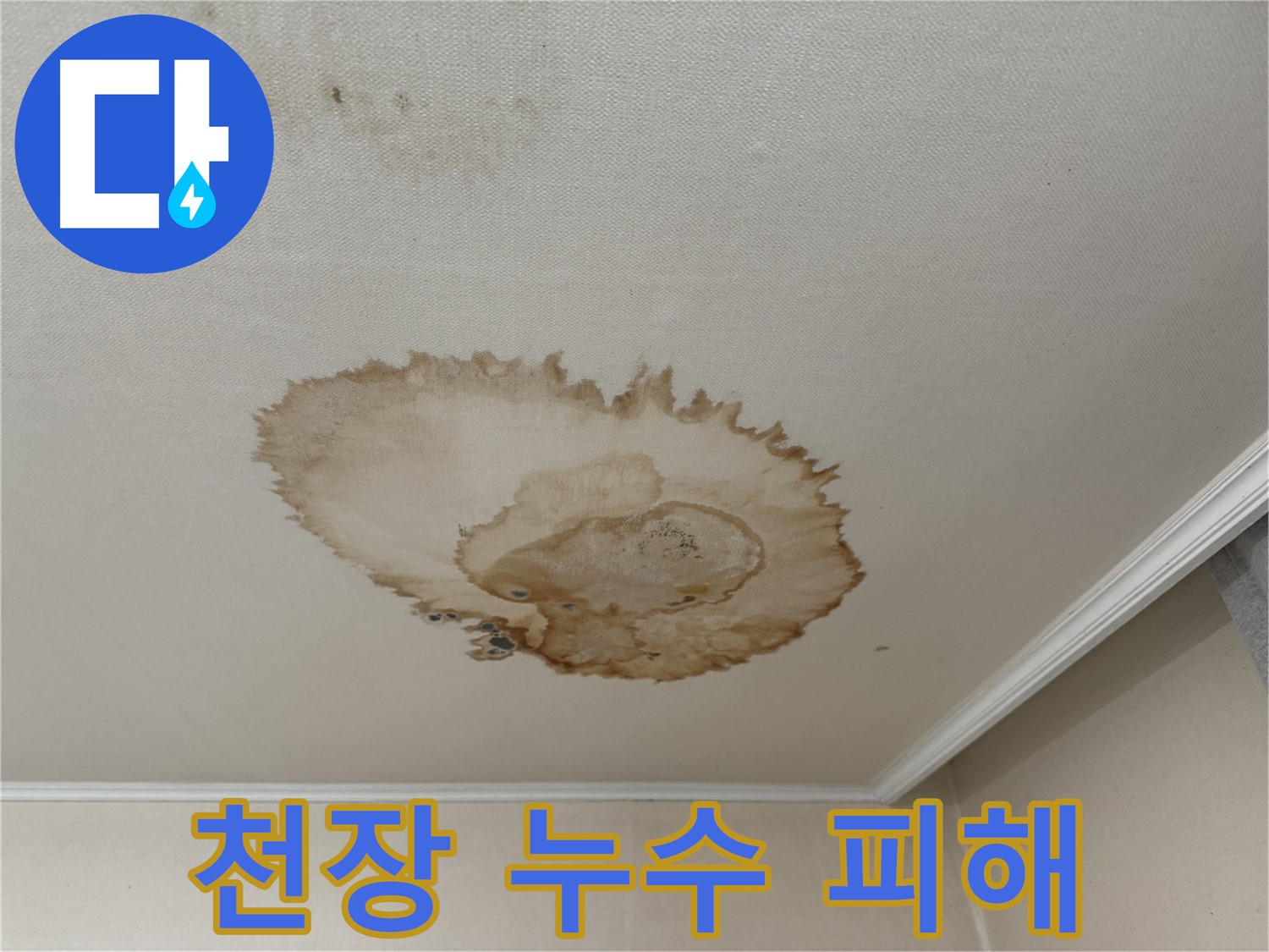 서대문구 세검정로에서 발생한 천장 누수 피해 - 훼손된 천장 마감재와 곰팡이를 보여주는 사진
