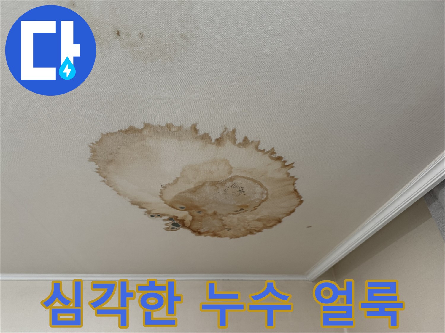 서대문구 홍제1동의 심각한 누수 - 천장에 넓게 퍼진 누수 얼룩