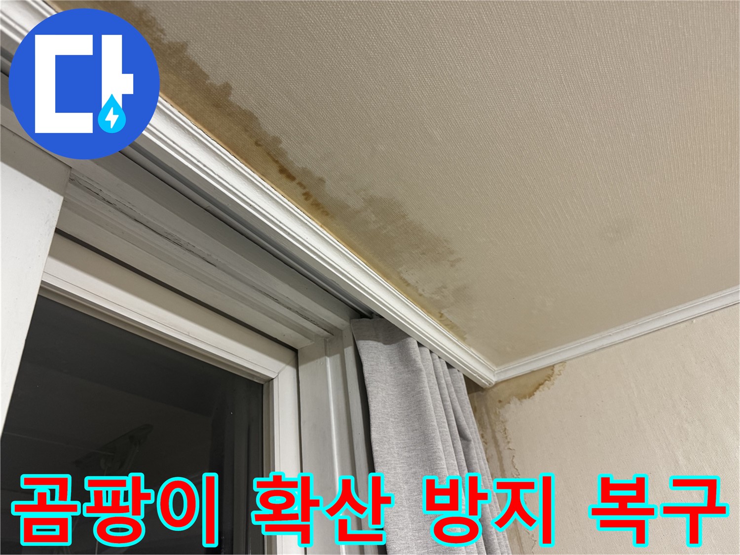 서대문구 홍제동 창가 천장 누수 - 곰팡이 확산 방지를 위한 긴급 복구 이미지입니다.