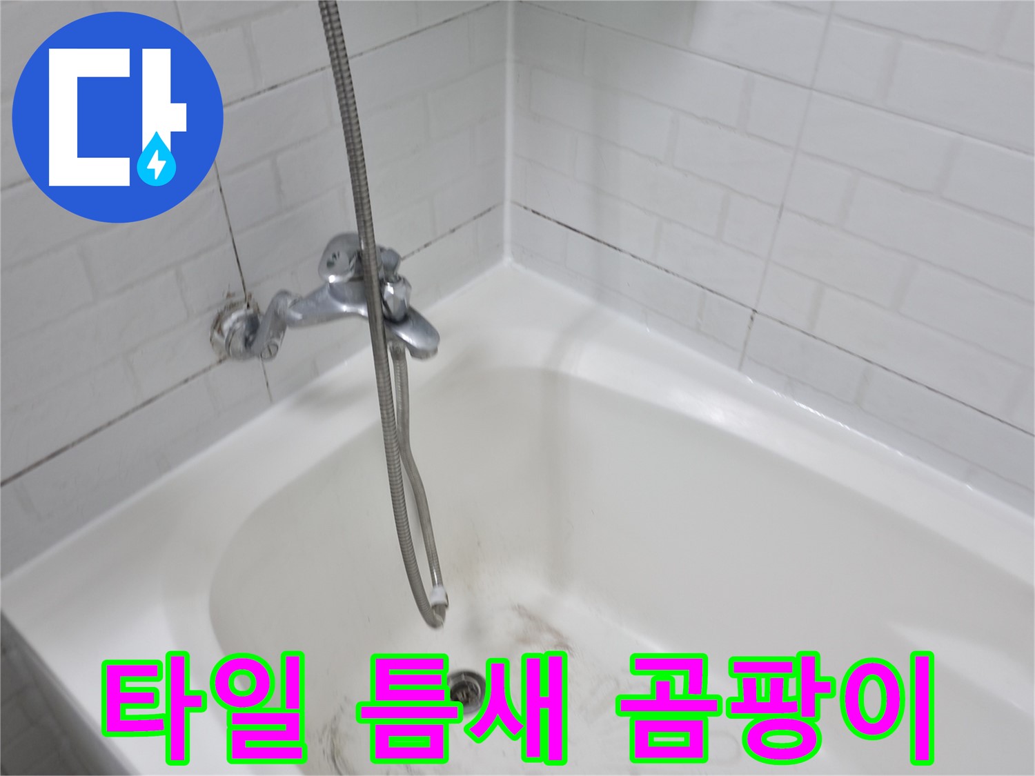 심각한 타일 틈새 곰팡이 - 곰팡이 제거가 시급한 상황