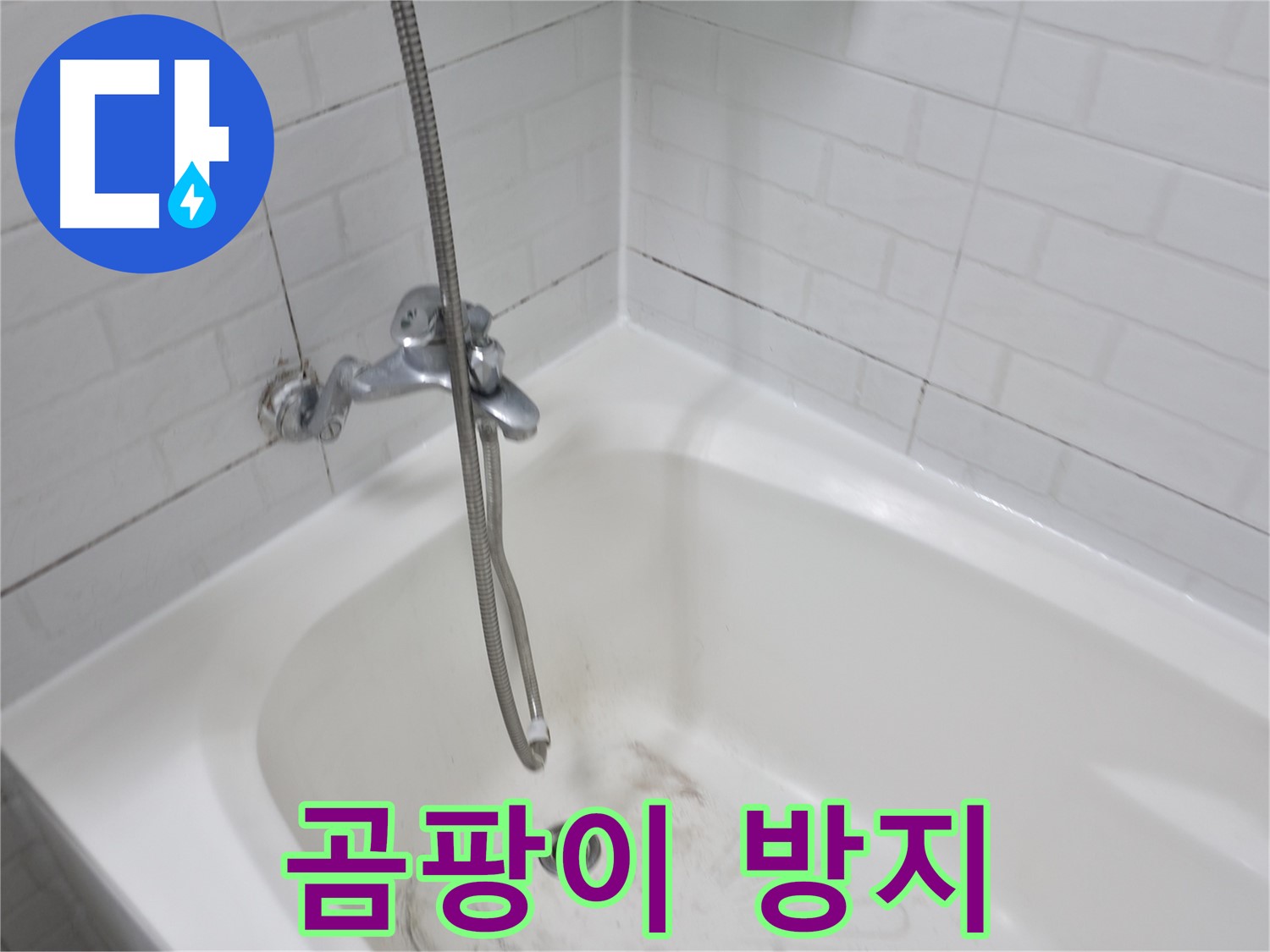 욕실 곰팡이 방지 - 정기적인 청소와 환기의 중요성