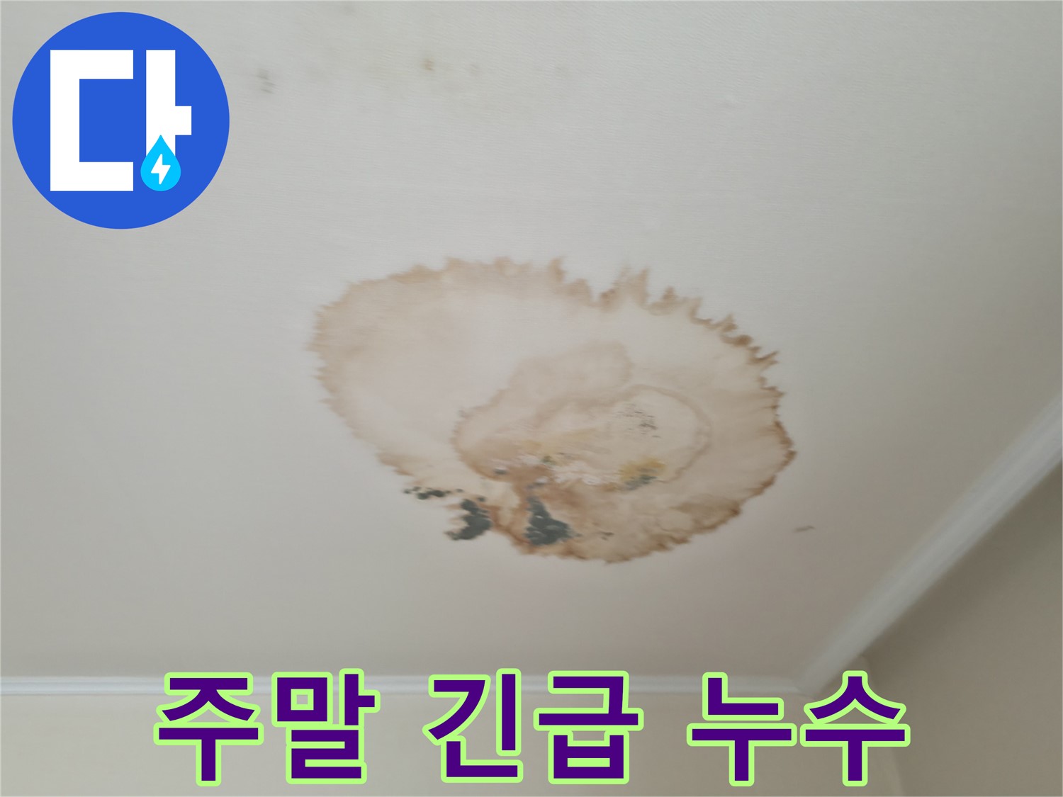 주말 긴급 - 천장 누수 해결 - 서대문구 누수