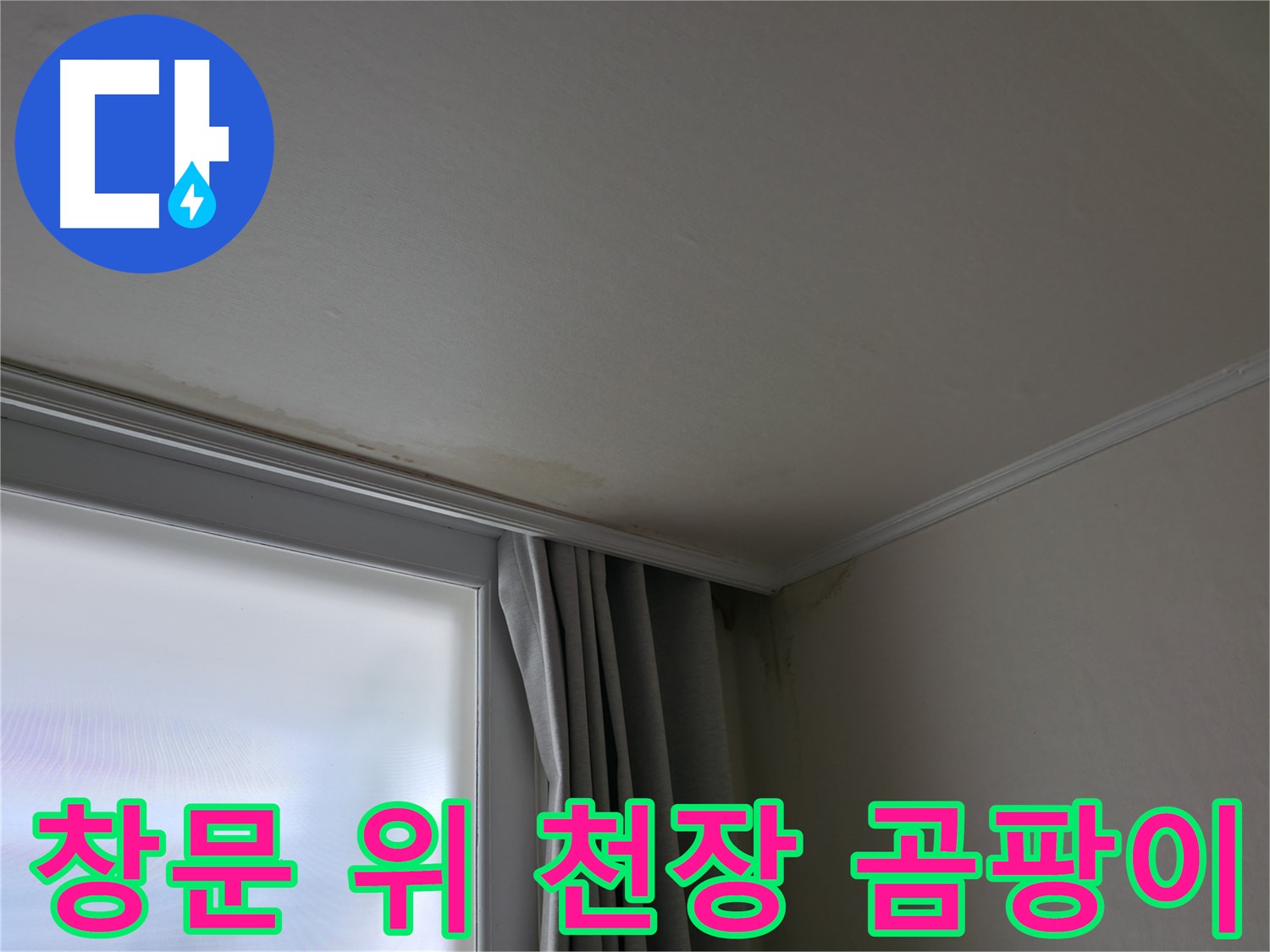 창문 위 천장 곰팡이 - 곰팡이 제거 및 쾌적한 환경 조성