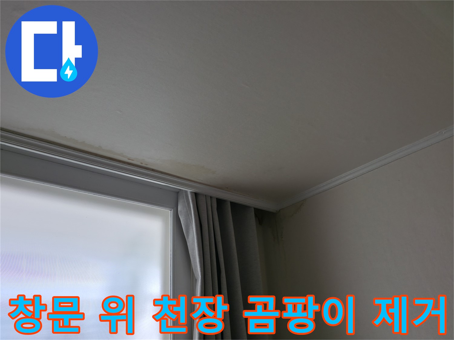 창문 위 천장 곰팡이 - 누수 해결 및 곰팡이 제거 전문