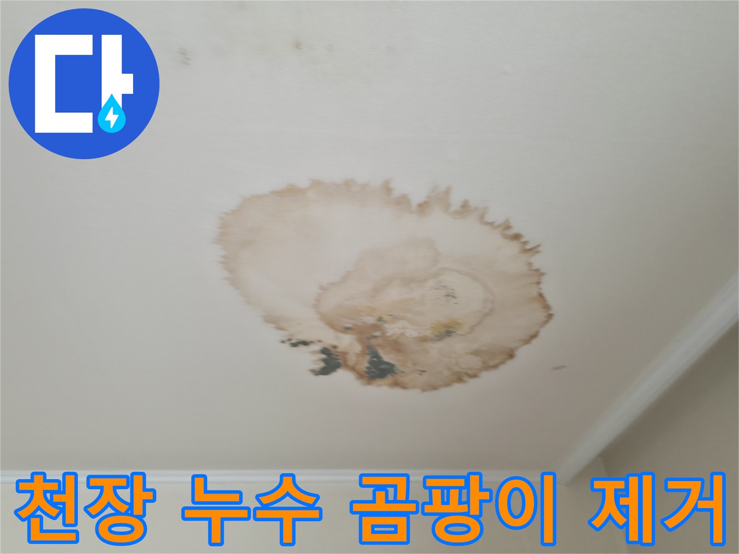 천장 누수 - 곰팡이 발생 - 완벽 제거 및 방지 시공