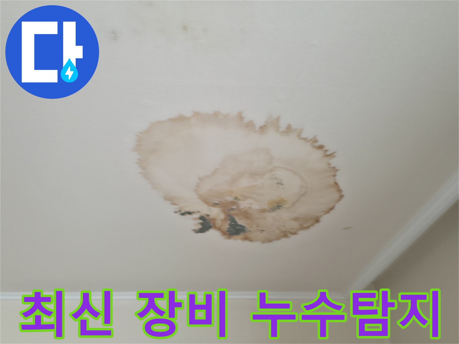 최신 장비 - 정확한 누수탐지 - 서대문구 북가좌동