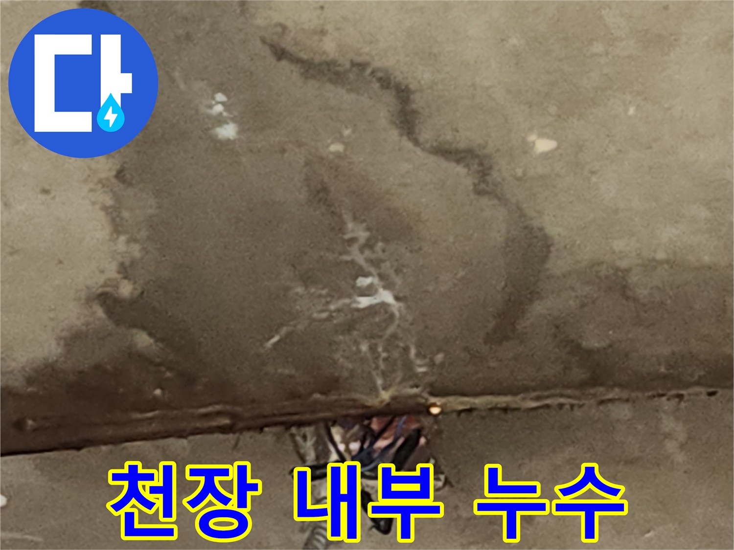 천장-텍스-제거-후-드러난-배관-주변의-젖은-콘크리트