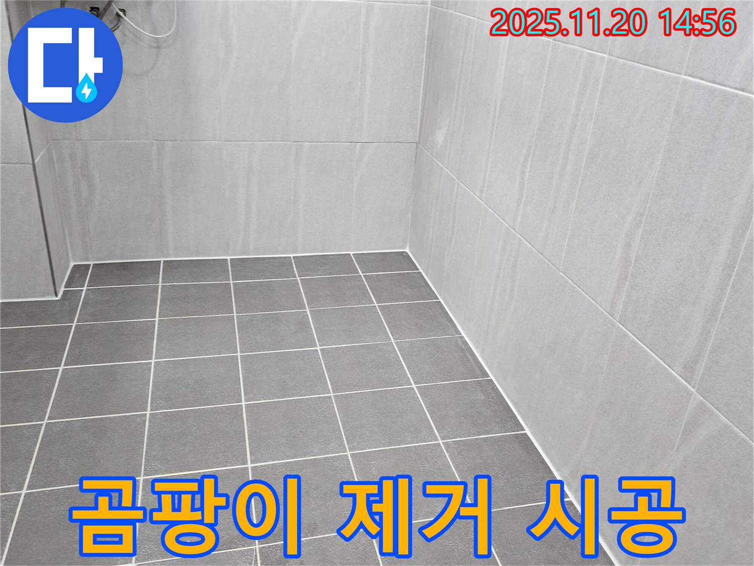 가산면 마산리 누수 - 욕실 벽면 타일 곰팡이, 꼼꼼하게 제거하고 환기의 중요성 강조