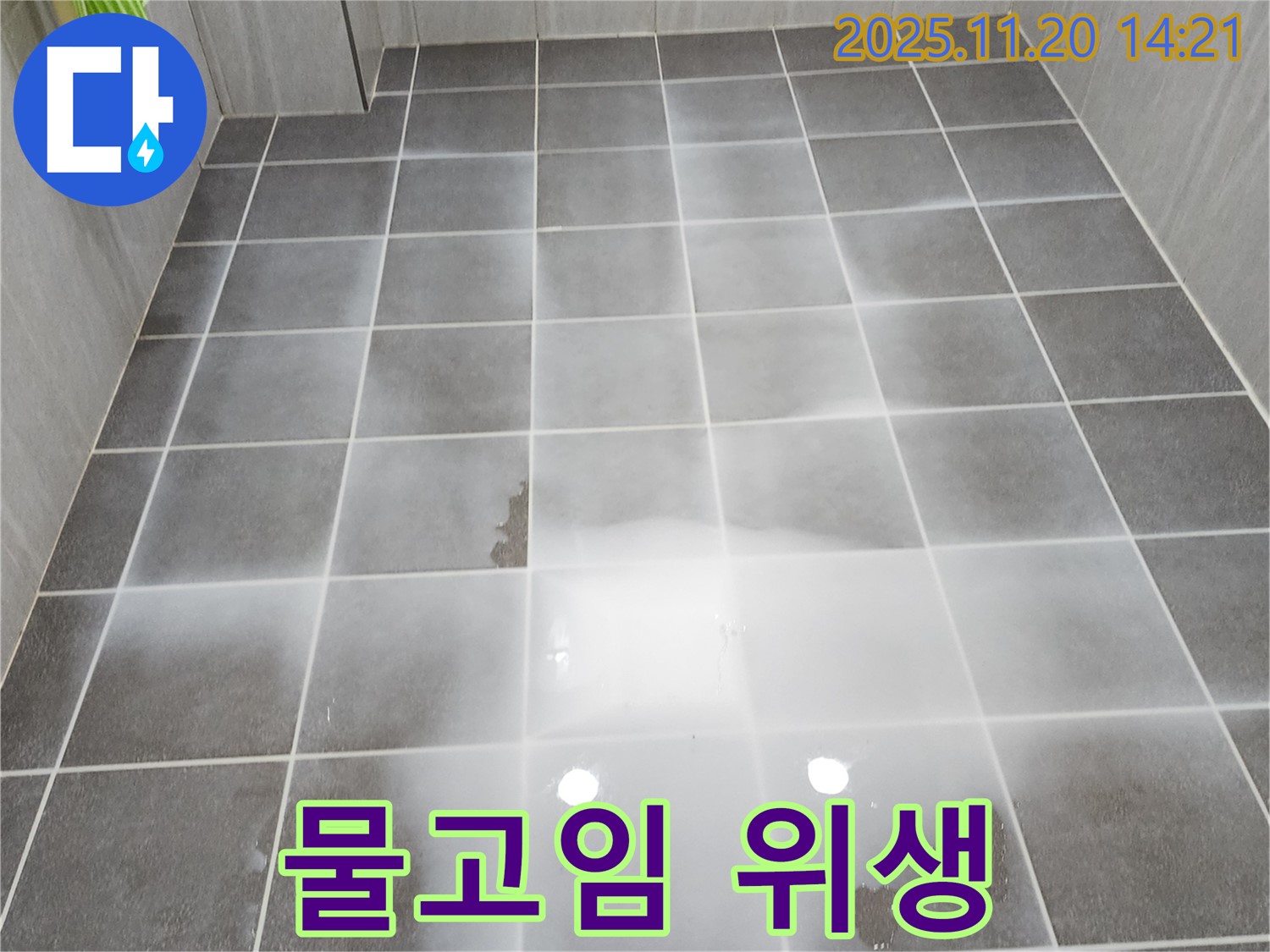 욕실 물고임 - 세균 번식 및 악취 발생 우려, 위생 점검이 필요합니다.