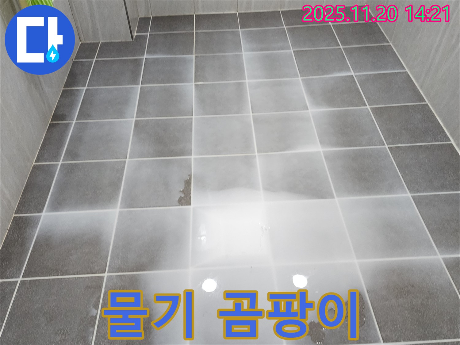 욕실 물기 지속 - 곰팡이 서식 환경 조성 우려, 철저한 점검이 필요합니다.