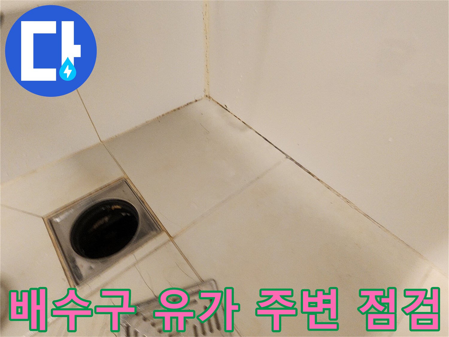 욕실 바닥의 배수 트랩과 타일 접합부의 오염된 상태를 촬영한 사진입니다.