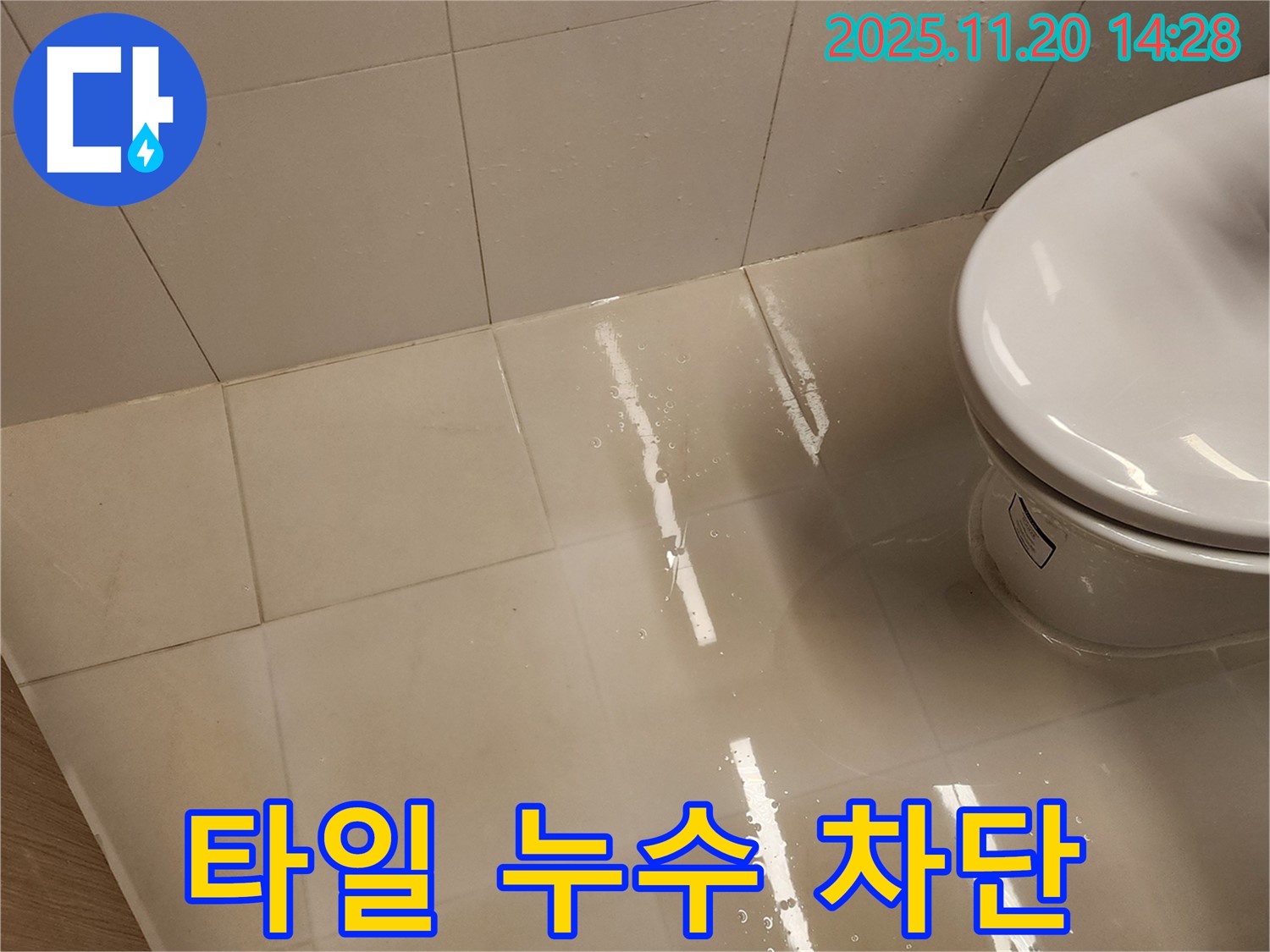 포천 가산면 변기 주변 타일 누수 - 꼼꼼한 시공으로 완벽하게 차단했습니다.