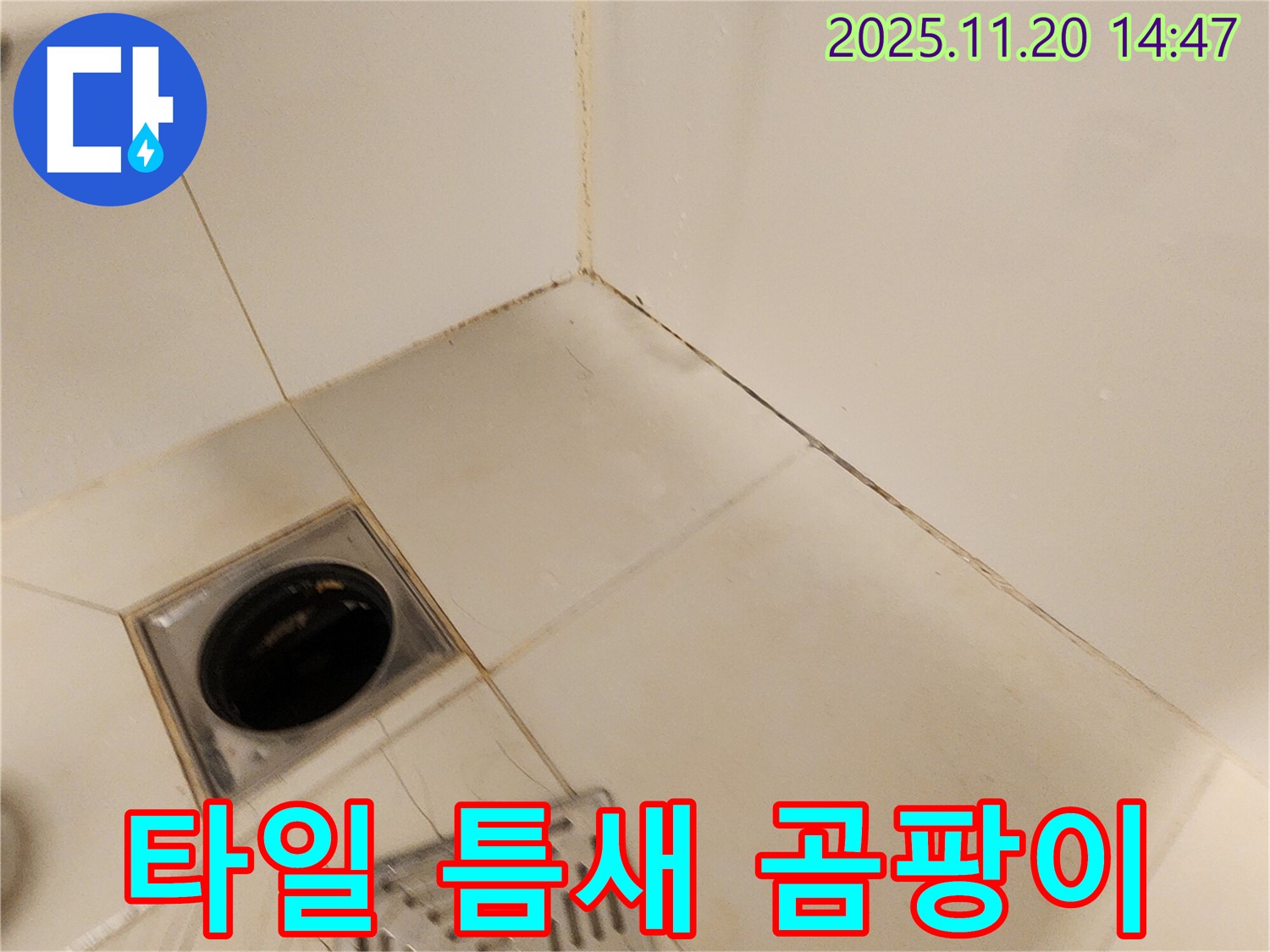 포천 가산면 욕실 타일 틈새 곰팡이 - 타일 사이 곰팡이는 누수의 초기 신호일 수 있습니다.