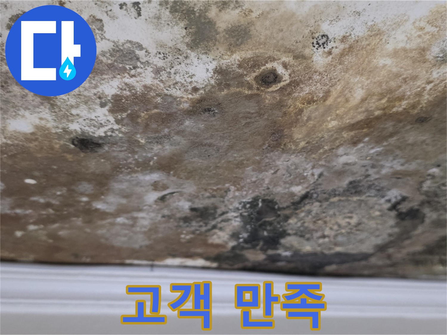 고객 만족 후기 - 고객님들의 칭찬과 격려에 감사드립니다!
