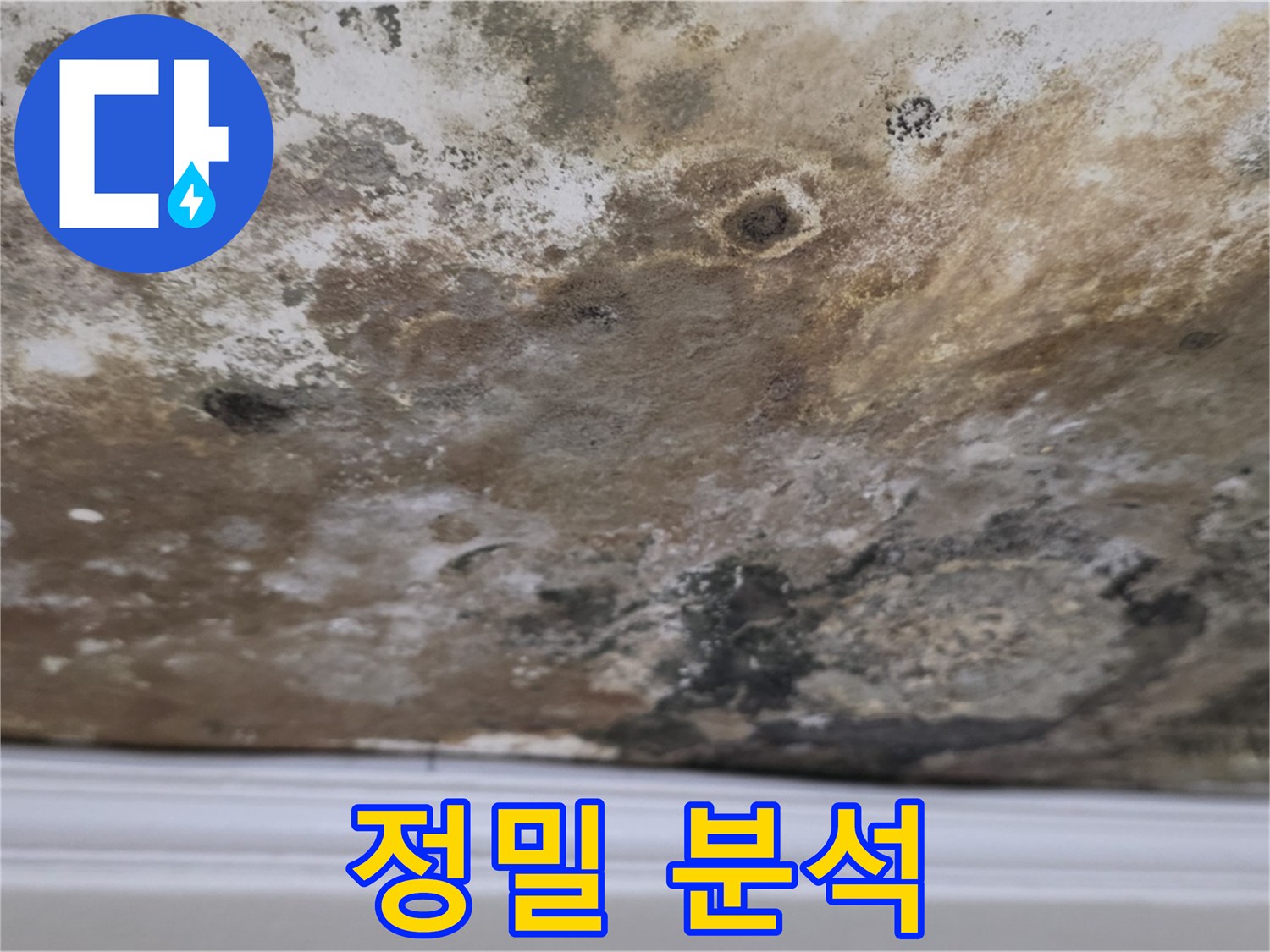 곰팡이 얼룩진 천장 - 정밀 원인 분석 중