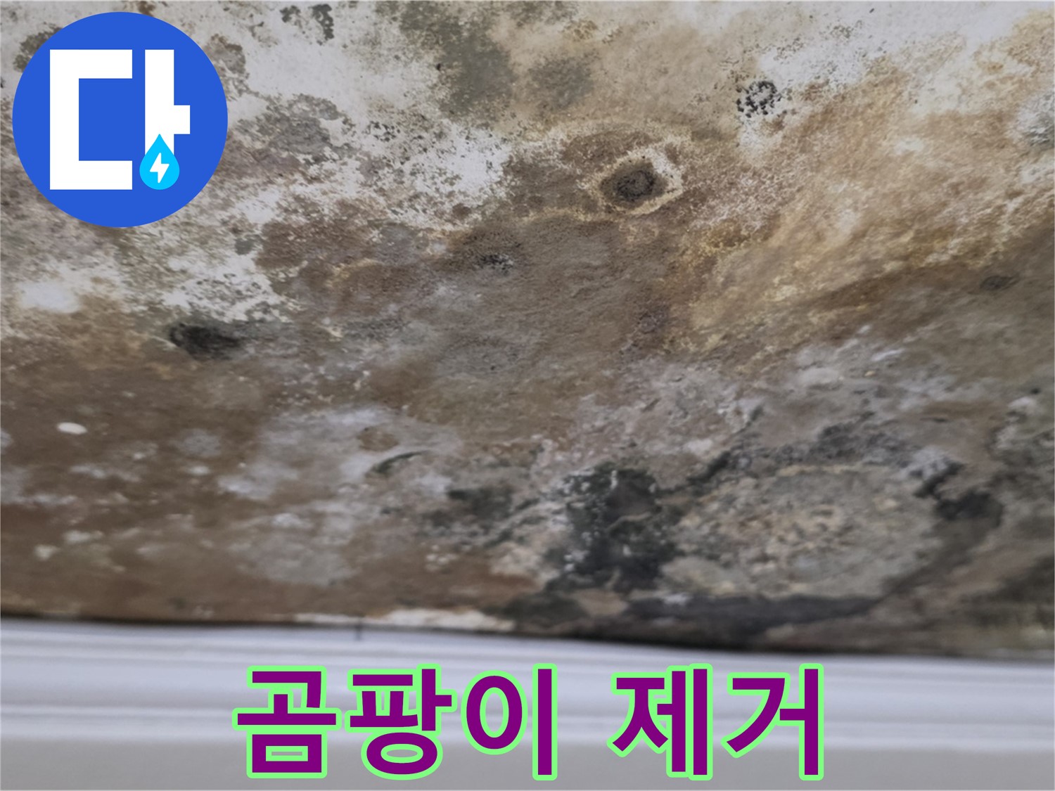 곰팡이 제거 후 깨끗해진 천장 - 누수 해결과 곰팡이 제거 후 깨끗하게 복원된 천장의 모습입니다.