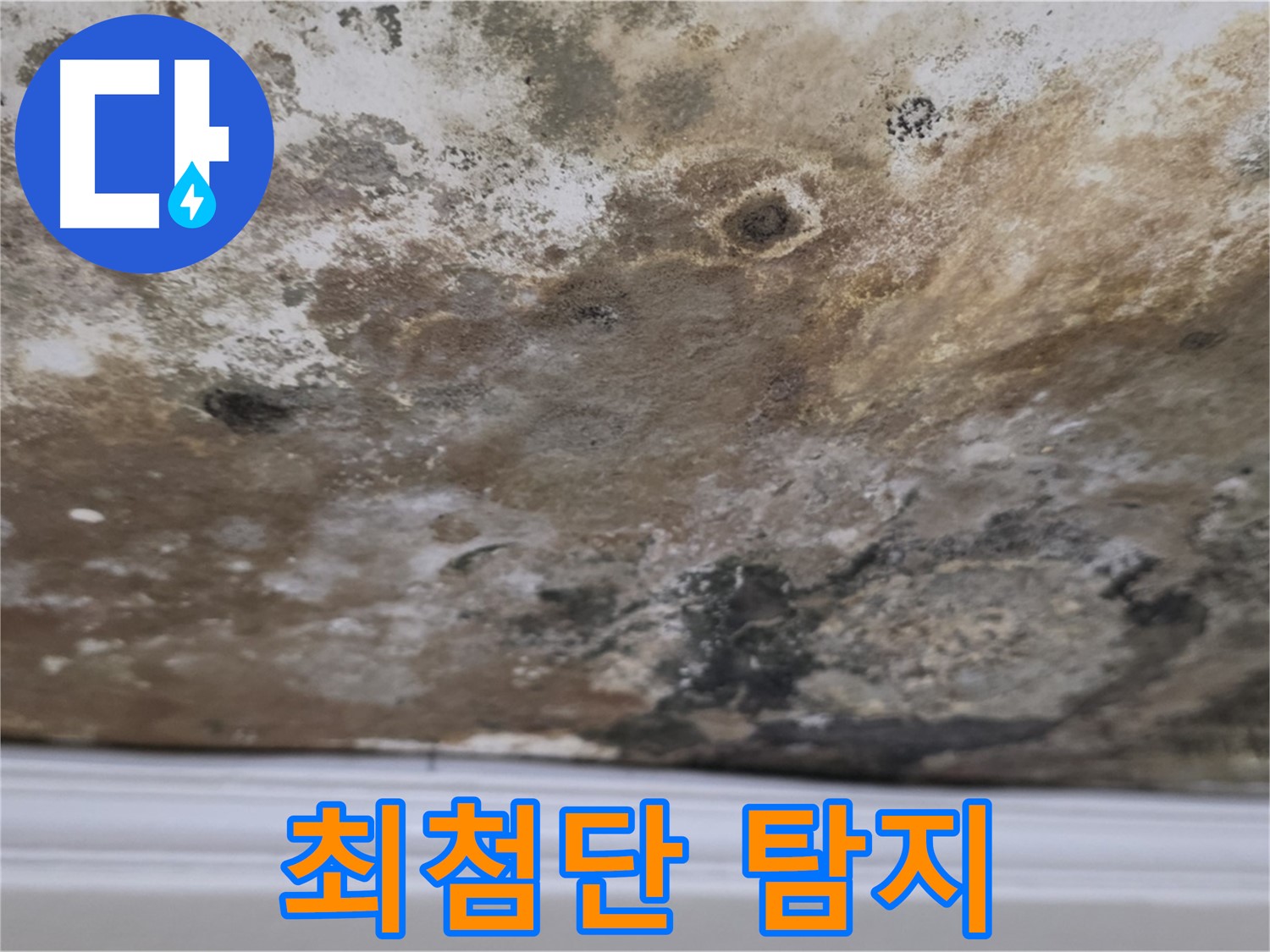 곰팡이 천장 - 최첨단 누수 탐지 장비로 정밀 진단