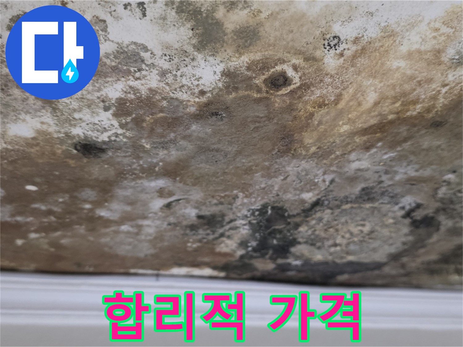 곰팡이 천장 - 합리적인 가격으로 누수 해결!