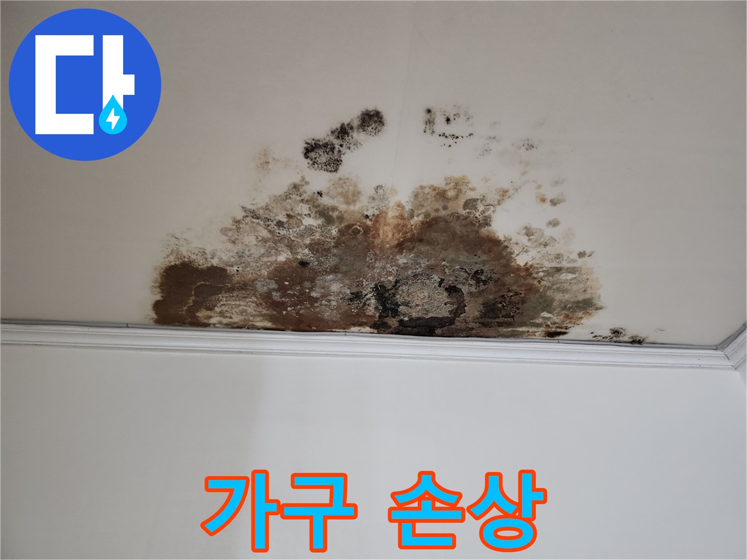 마포구 누수 - 곰팡이로 인한 가구 손상