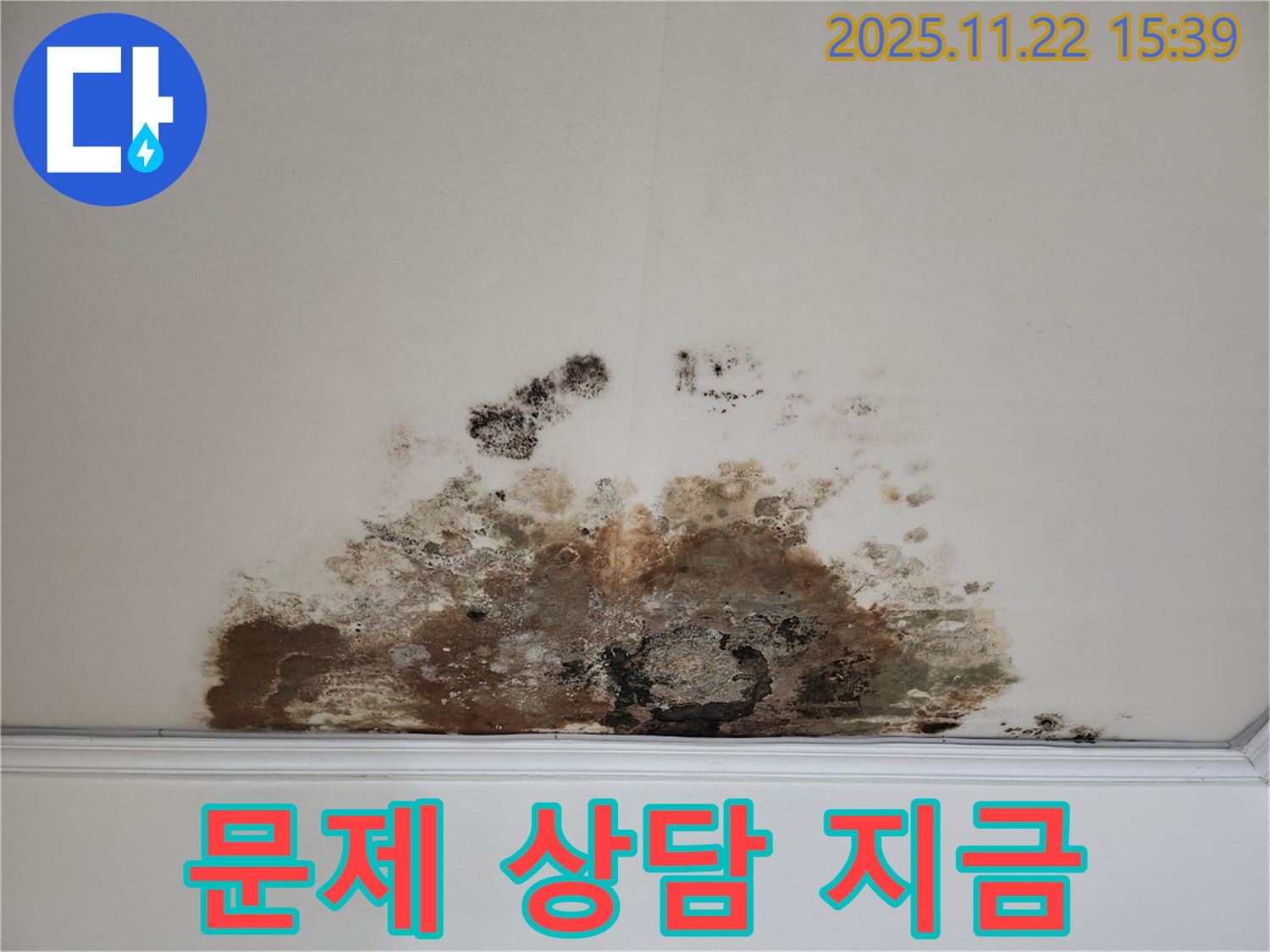 마포구 새창로 아파트 - 곰팡이 천장, 곰팡이 문제, 지금 바로 상담받으세요