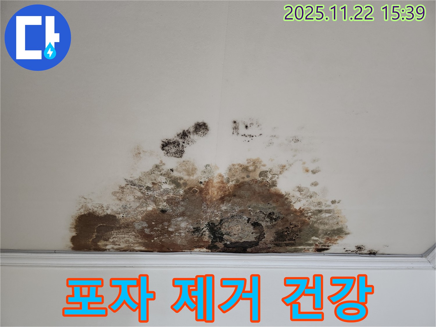 마포구 새창로 아파트 - 곰팡이 천장, 곰팡이 포자 제거로 건강한 생활 공간