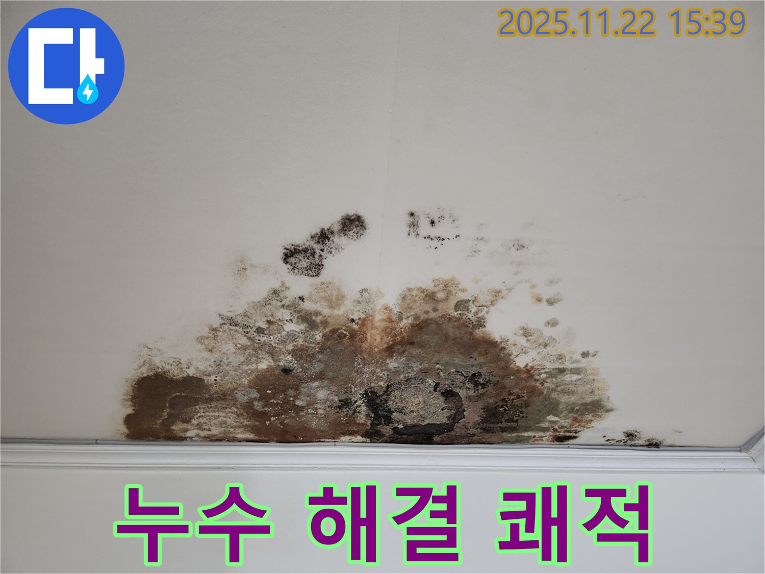 마포구 새창로 아파트 - 곰팡이 천장, 누수 해결로 쾌적한 공간으로 변신