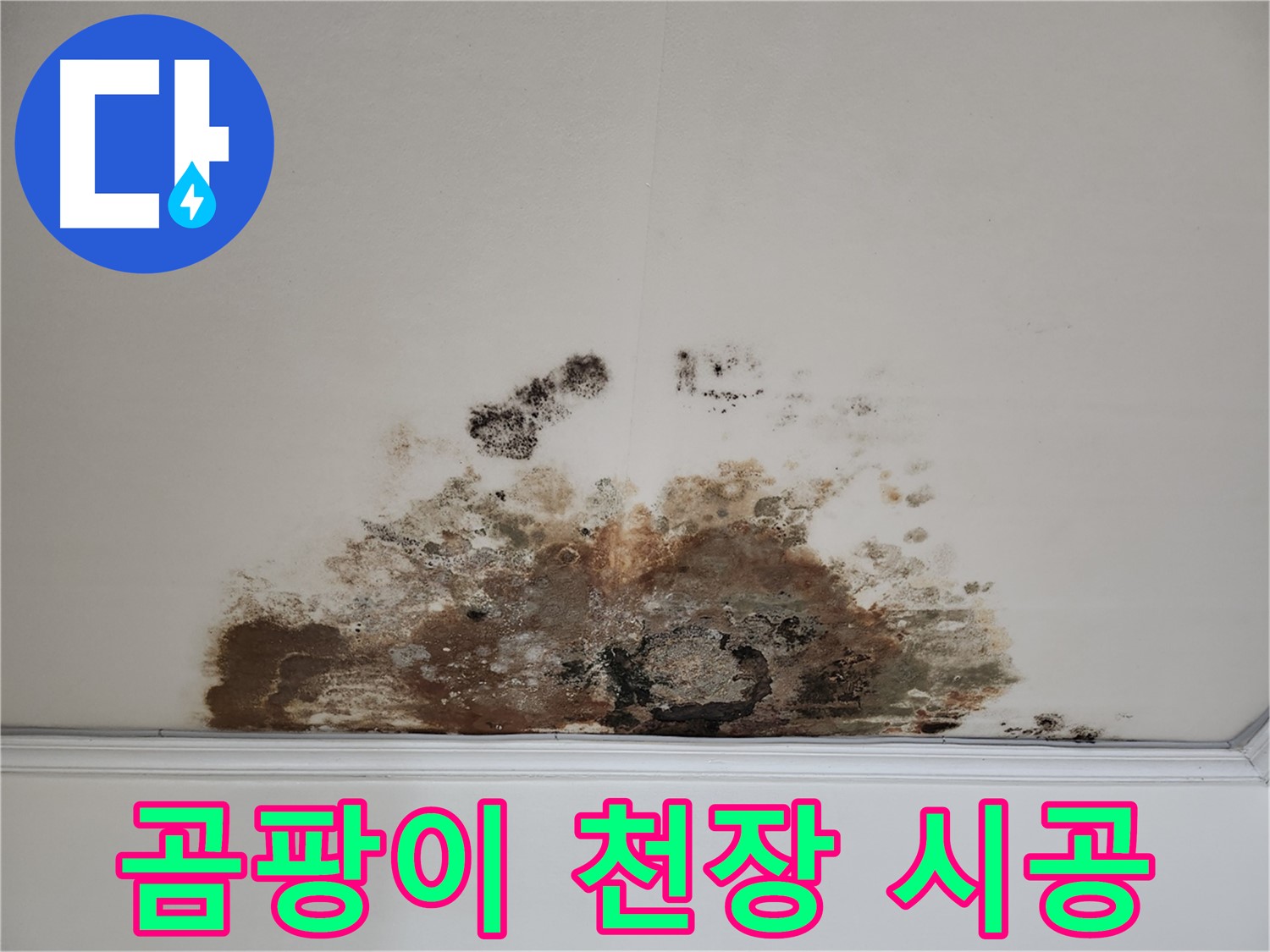 마포구 용강동 누수, 곰팡이 천장 - 꼼꼼한 시공, 완벽한 결과