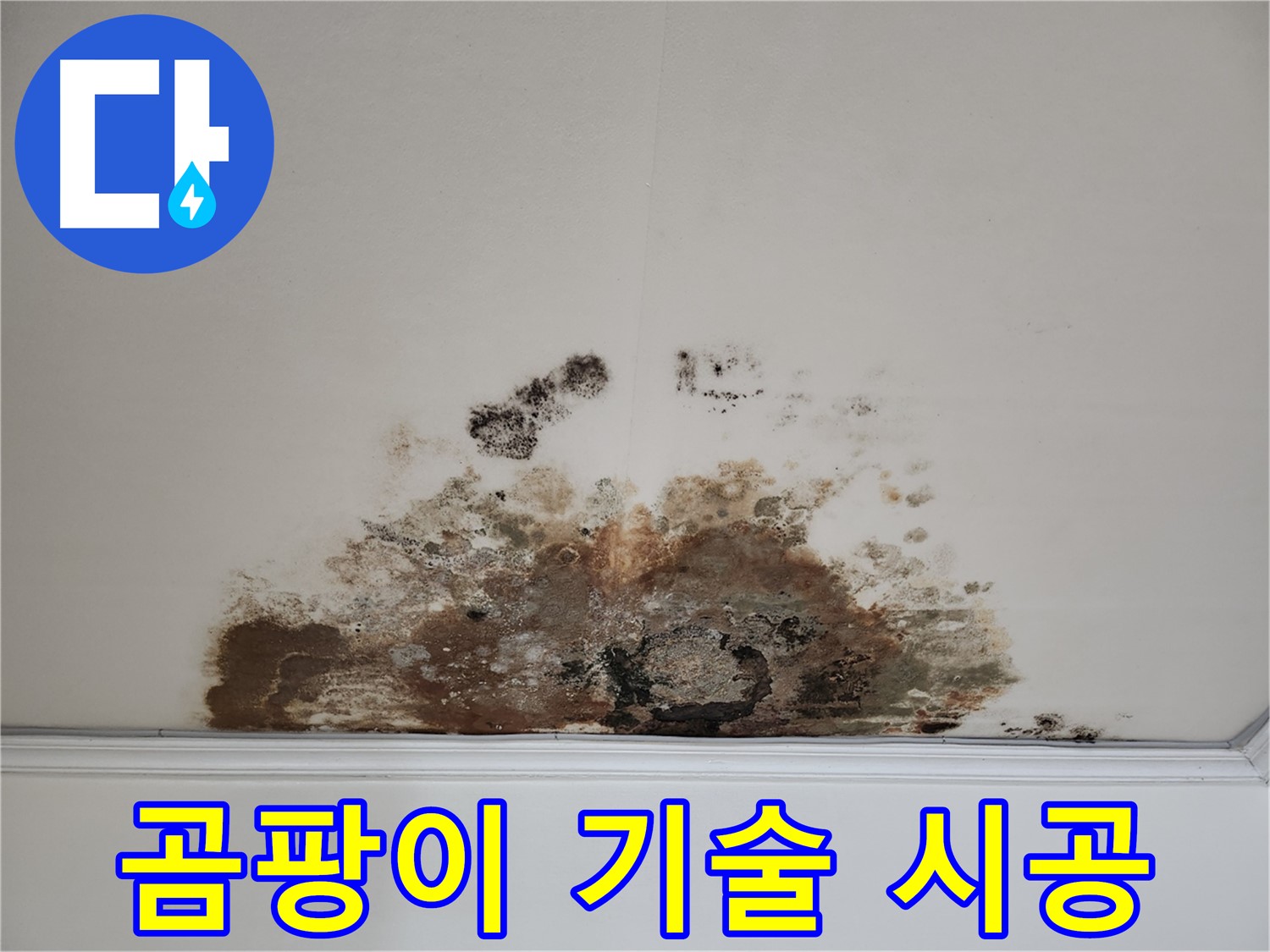 마포구 용강동 누수 - 곰팡이 천장 베테랑 기술 및 확실한 시공 책임