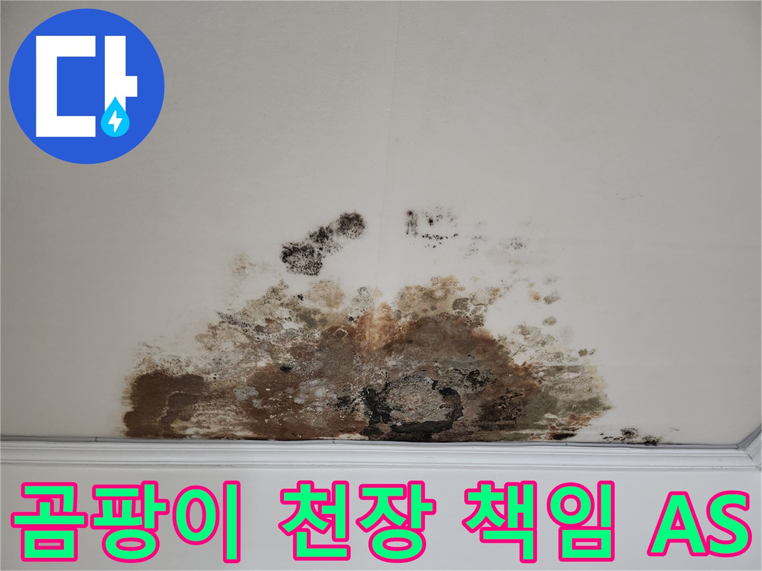 마포구 용강동 누수 곰팡이 천장 - 철저한 A/S 끝까지 책임