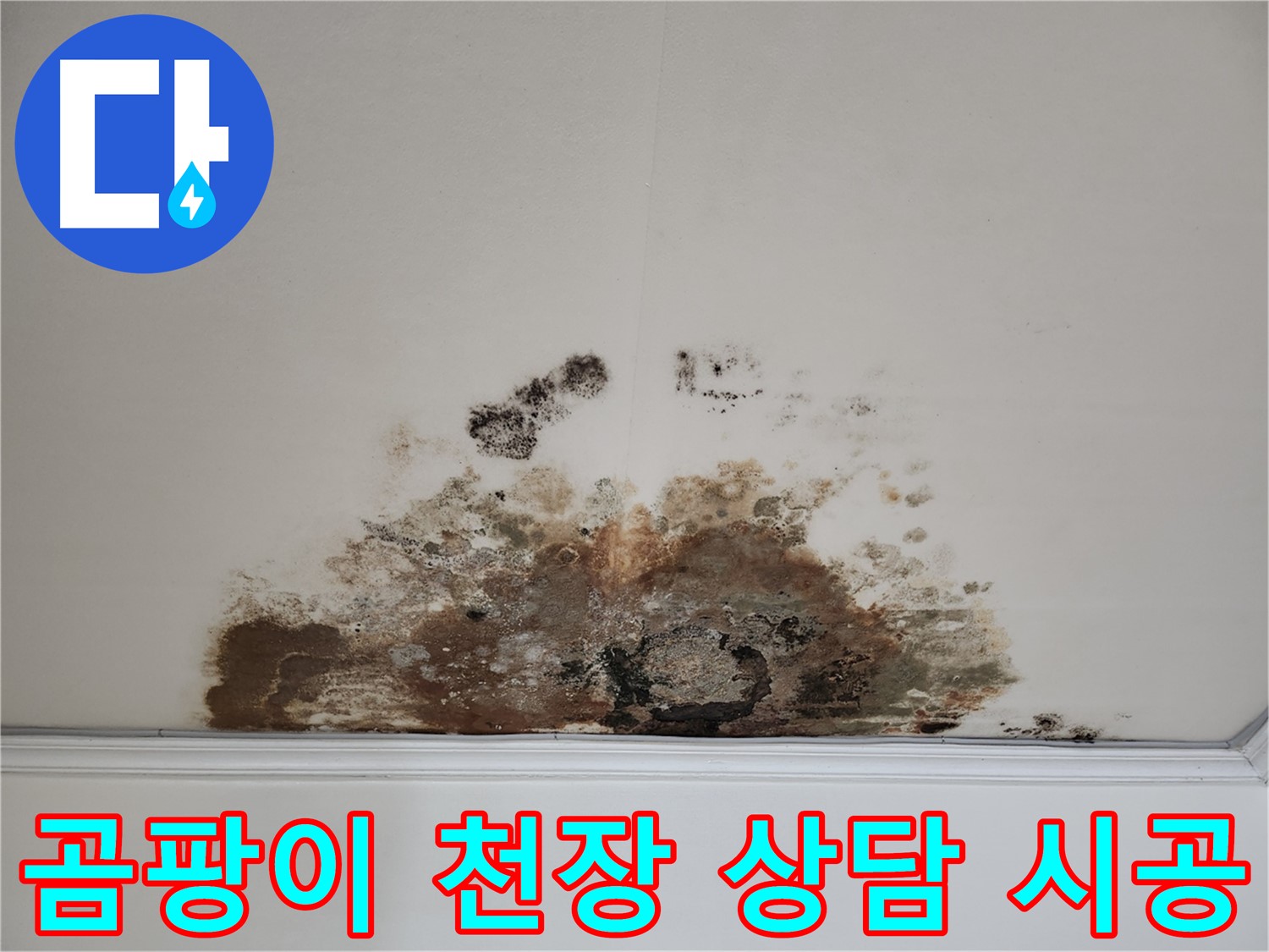 마포구 용강동 누수, 곰팡이 천장 - 친절 상담, 완벽 시공 약속