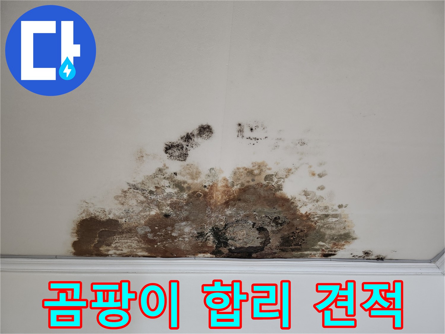 마포구 용강동 누수 - 곰팡이 천장 합리적 견적 및 완벽 해결 약속