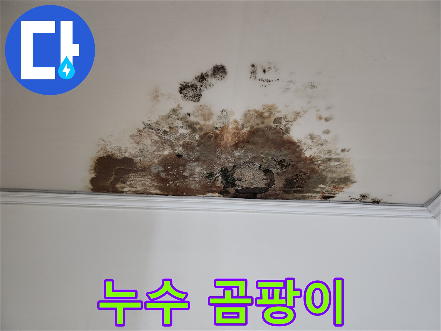 마포구 용강동 누수 - 곰팡이 핀 천장