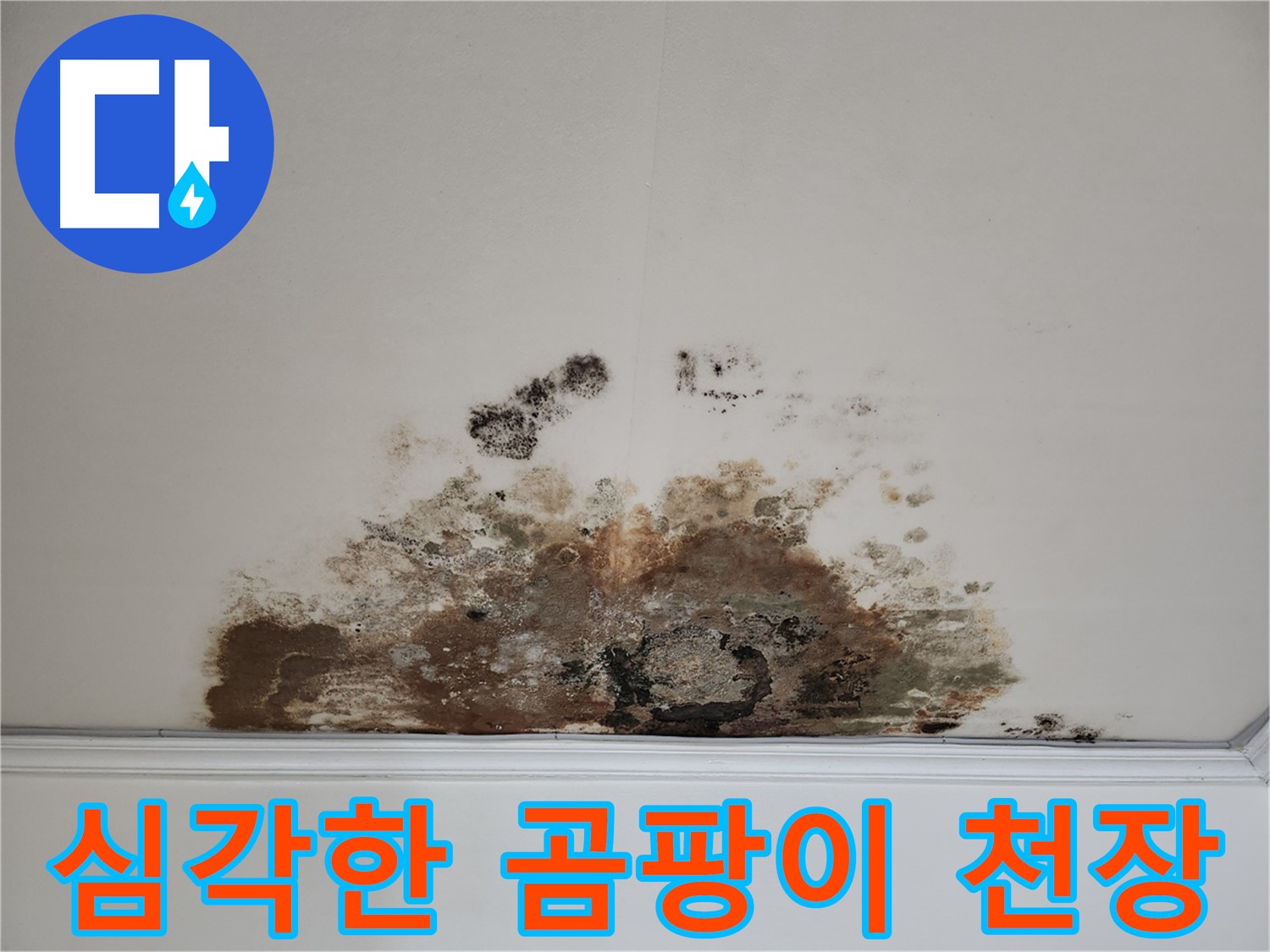 마포구 용강동 누수 - 곰팡이로 뒤덮인 천장의 원인을 찾고 완벽하게 해결