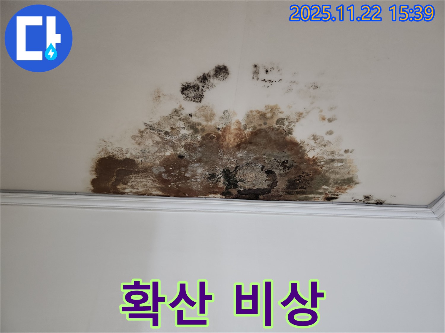 마포구 용강동 새창로8길 누수 - 곰팡이 확산 비상, 현대홈타운 긴급 점검