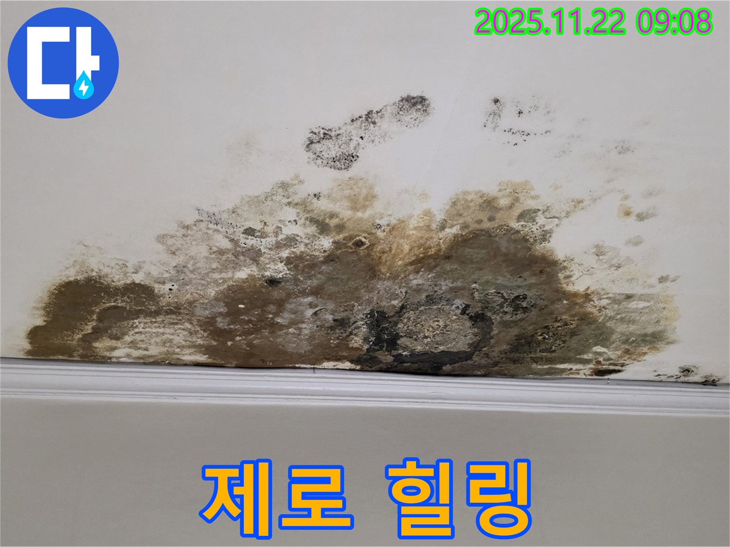 마포구 용강동 아파트 누수 - 곰팡이 제로, 쾌적한 우리집에서 힐링 시작!