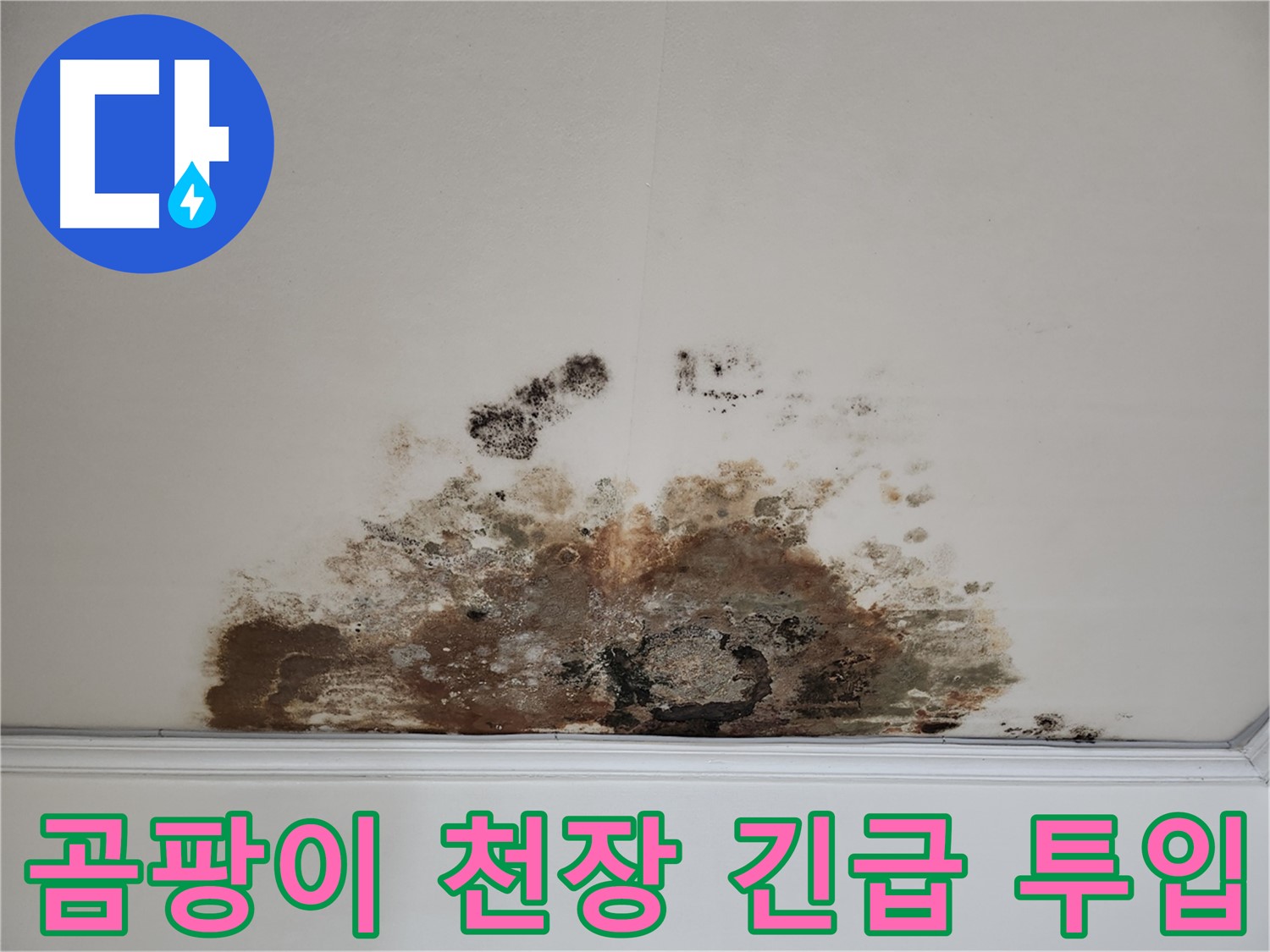 마포구 용강동 천장 누수 - 현대홈타운 곰팡이 해결 긴급 투입