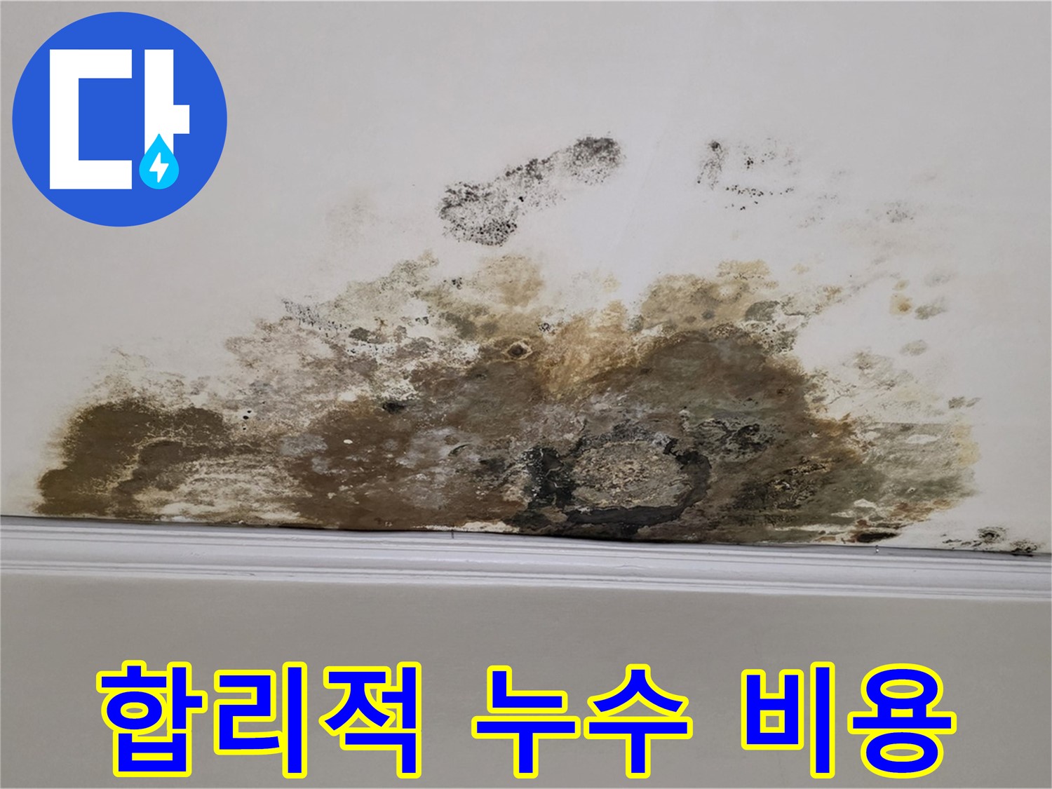 마포구 용강동 현대홈타운 누수 - 합리적인 비용으로 누수 문제 해결