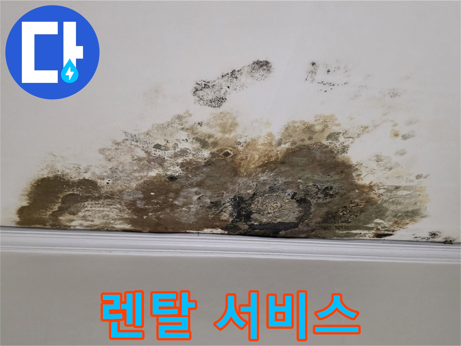 마포구 용강동 현대홈타운 아파트 - 곰팡이 - 곰팡이 제거 - 렌탈 서비스 활용하세요