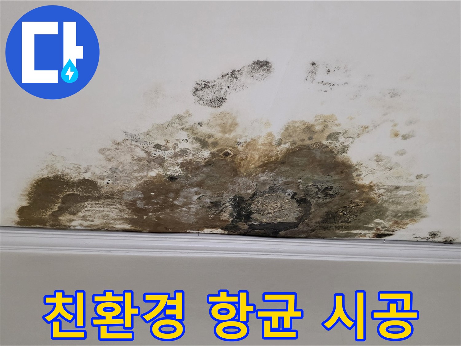 마포구 용강동 현대홈타운 아파트 - 곰팡이 천장 - 곰팡이 방지, 친환경 항균 시공