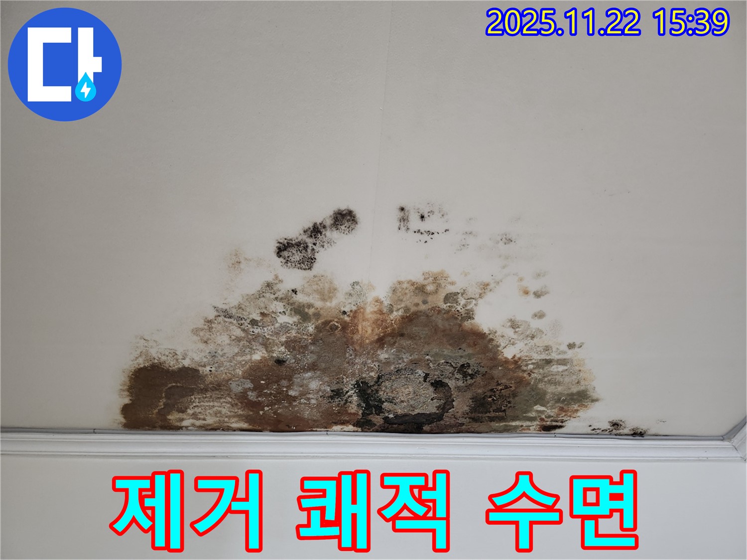 새창로 현대홈타운 아파트 - 곰팡이 천장, 곰팡이 제거로 쾌적한 수면 환경 조성